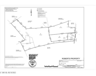 0 Rodgers 30 Acres Rd, Corryton, TN 37721 - photo 2