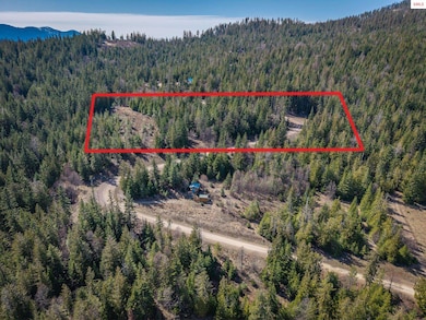 Lot 7 Sled Run Trail, Clark Fork, ID 83811 - photo 4