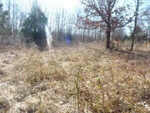 1633 Hawkins Rd, Harrison, AR 72601 - photo 4