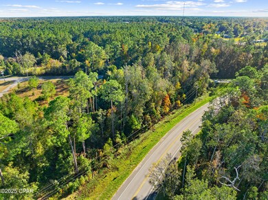 115 Pear St, Wewahitchka, FL 32465 - photo 4