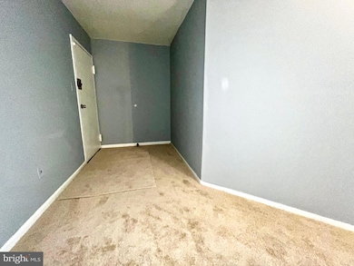 3138 Brinkley Rd unit 8303, Temple Hills, MD 20748 - photo 4