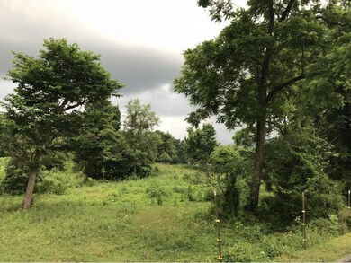 LOT 1 Blake Rd, Greeneville, TN 37743 - photo 3