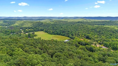 3880 Cox Gap Rd, Boaz, AL 35956 - photo 2