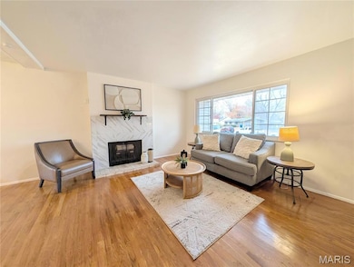 1305 Burning Tree Dr, Florissant, MO 63033 - photo 5