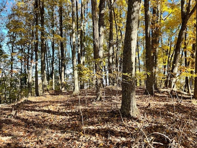 0 Royal Oaks Trail unit 23615967, Young Harris, GA 30582 - photo 4