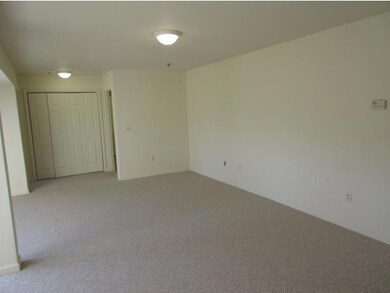 41 Hildred Dr, Burlington, VT 05401 - photo 3