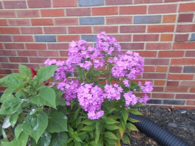 205 Cloverdale Rd, Shelbyville, TN 37160 - photo 3