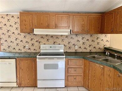 2101 N Blue Max Point, Hernando, FL 34442 - photo 7