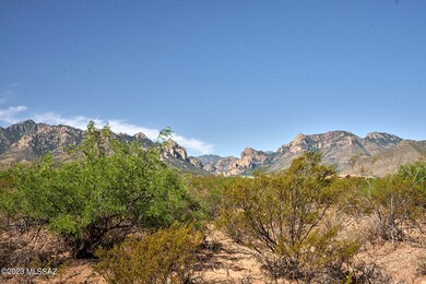 From NE Corner Across Property