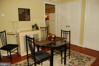 8368 Forrester Blvd unit 476, Springfield, VA 22152 - photo 5