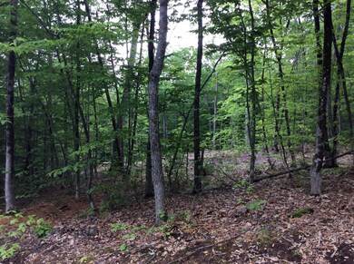 146 S Bridgton Rd, Bridgton, ME 04009 - photo 7