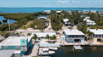 DJI_0867