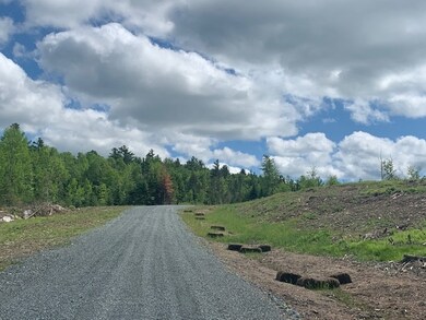 3 Gannon Rd, Lyman, NH 03585 - photo 5