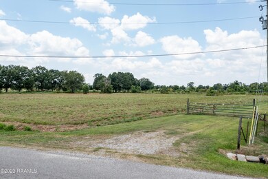 Driveway / Ground View