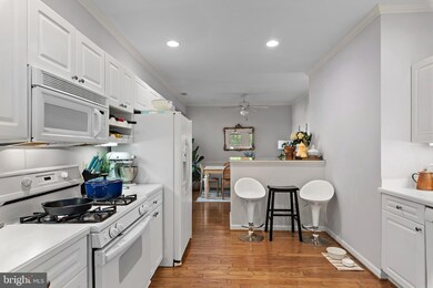 2002 Peggy Stewart Way unit 203, Annapolis, MD 21401 - photo 5