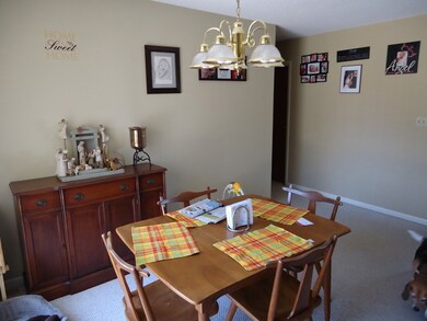 981 Elm Place, Princeton, IL 61356 - photo 7