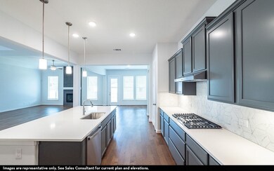 16729 Freshwater Dr, Celina, TX 75009 - photo 4