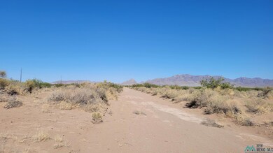 000 SW Majestic View Rd, Deming, NM 88030 - photo 2