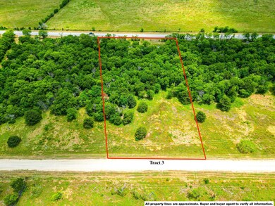 Lot 3 Grison Cir, Corsicana, TX 75109 - photo 2