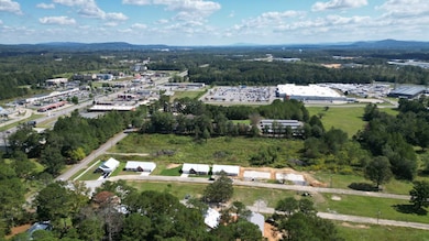 717 Jones St SE, Attalla, AL 35954 - photo 6