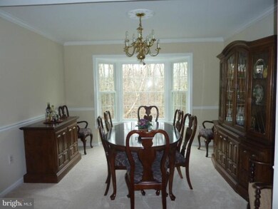 13441 Marble Rock Dr, Chantilly, VA 20151 - photo 6