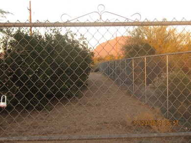 Chain Link Fenced Yard