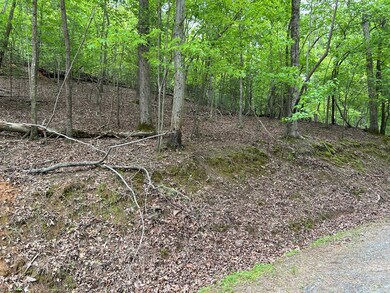 LT595 Jonquil Ln, Ellijay, GA 30540 - photo 3