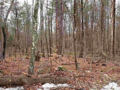 00 Hatt Rd, Westmoreland, NH 03467 - photo 3