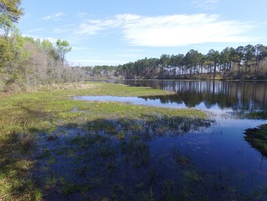 Pond Split  Left site with property.
