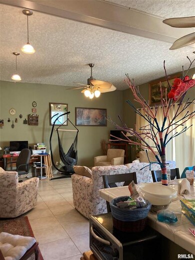 209 Hudson St, Lincoln, IL 62656 - photo 5