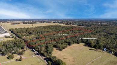 10081 Farm To Market Road 773, Ben Wheeler, TX 75754 - photo 5