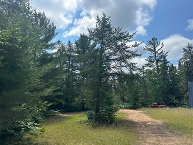 36114 W Ridge Rd, Paradise, MI 49768 - photo 5