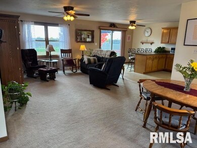 710 W Dean St, Virden, IL 62690 - photo 5