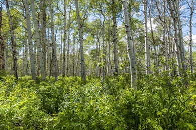 Lot-View_high_3303138