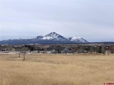 0 Road North 6 Loop unit 35 766006, Cortez, CO 81321 - photo 7