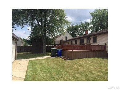 Backyard.