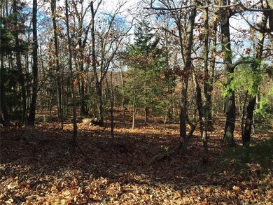 0 SE Slaty Gap Cr# 4149 Rd unit 1032281, West Fork, AR 72744 - photo 4