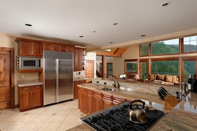 749 Mountain Laurel Dr, Aspen, CO 81611 - photo 5