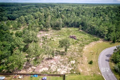 0 Lyttleton Loop unit 4 364331, Lillian, AL 36549 - photo 4