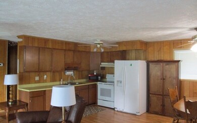 1057 Sky Hawk Mountain Rd, Hiawassee, GA 30546 - photo 4