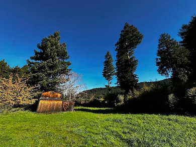 235 Orchard Way, Myers Flat, CA 95554 - photo 6