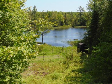 Pond