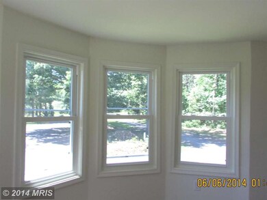 11317 Scotts Mill Rd, Culpeper, VA 22701 - photo 7