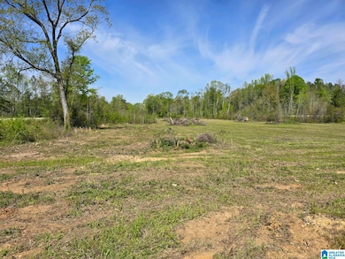 0 Highway 82 unit 21381429, Maplesville, AL 36750 - photo 4