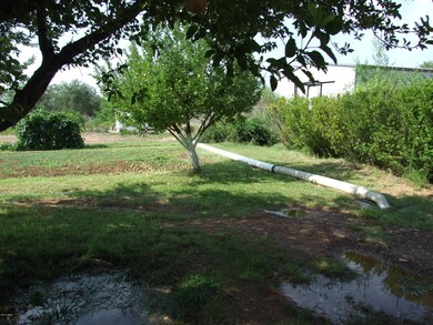DSCF6402