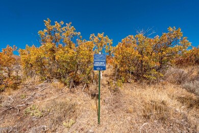 Lot-View_1800x1200_3147880