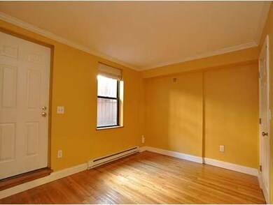 20 E Springfield St unit 1, Boston, MA 02118 - photo 6