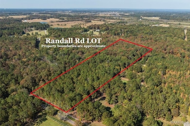 000 Randall Rd, Cecil, AL 36013 - photo 3