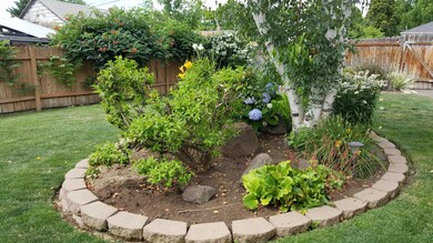 yard