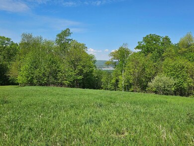 3 Park Ct unit Lot 3, Freeman, WI 54624 - photo 4